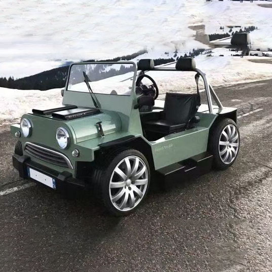What is an Electric Sightseeing Vehicle