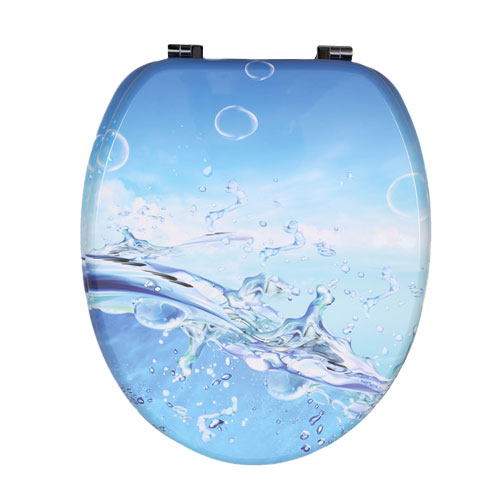 Aspects of Decorated Printed MDF Toilet Seat