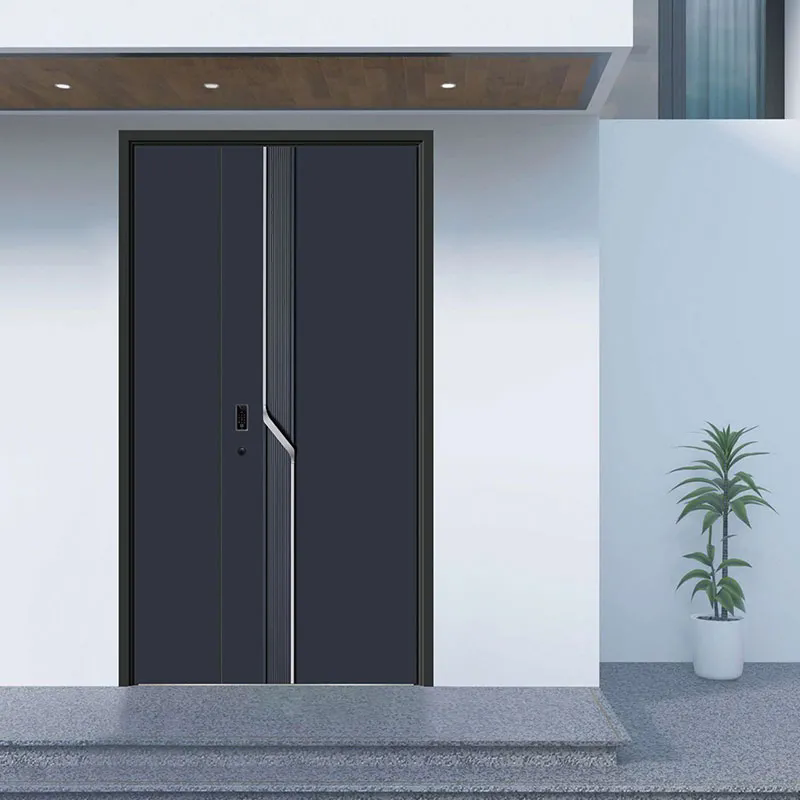 Why Should You Choose Metal Entrance Doors for Your Home or Business?
