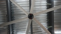 7.3m Giant Fans: Customized Manufacturing Solutions for Industrial Cooling