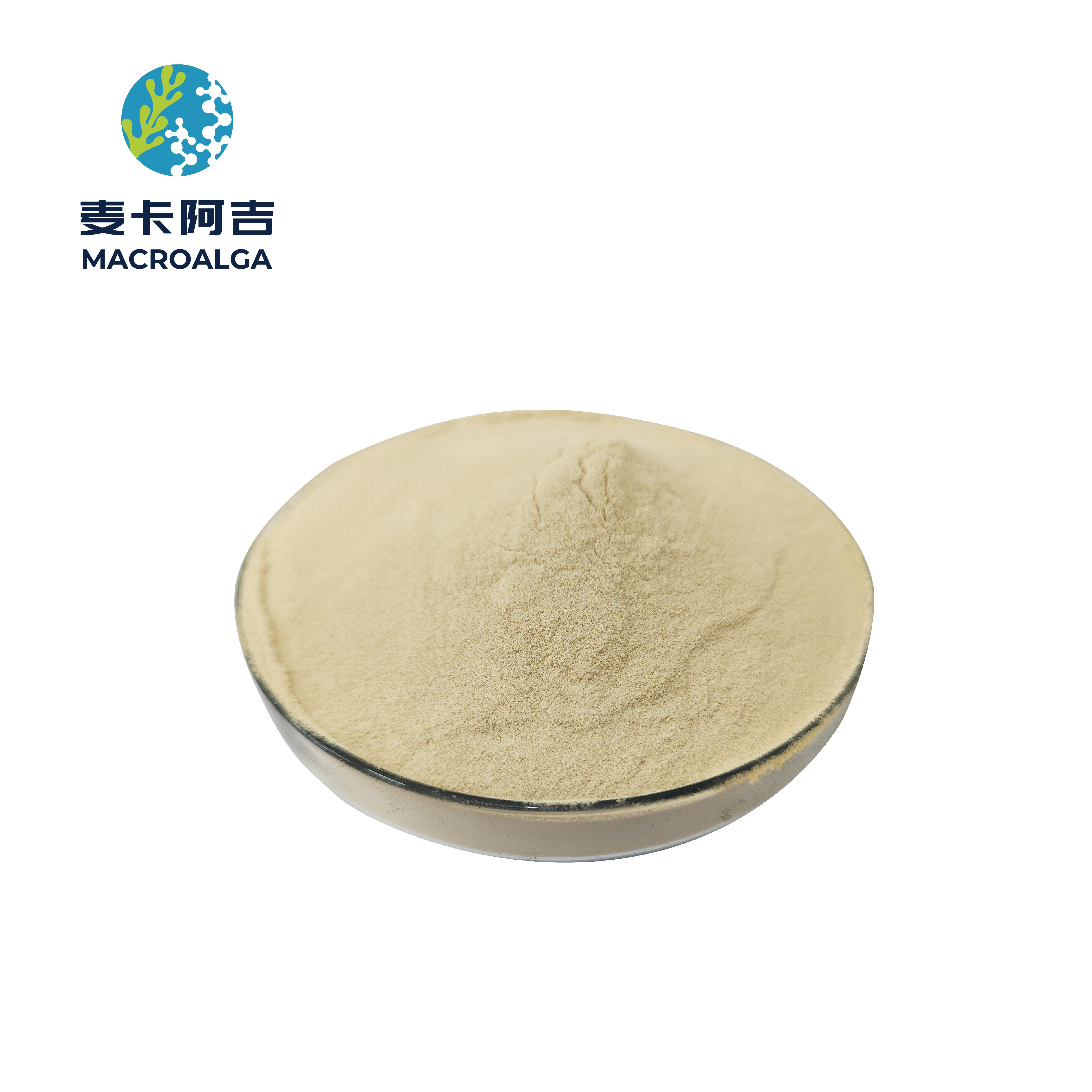 China Protein Hydrolysate Ranking: Top Suppliers and Products Compared