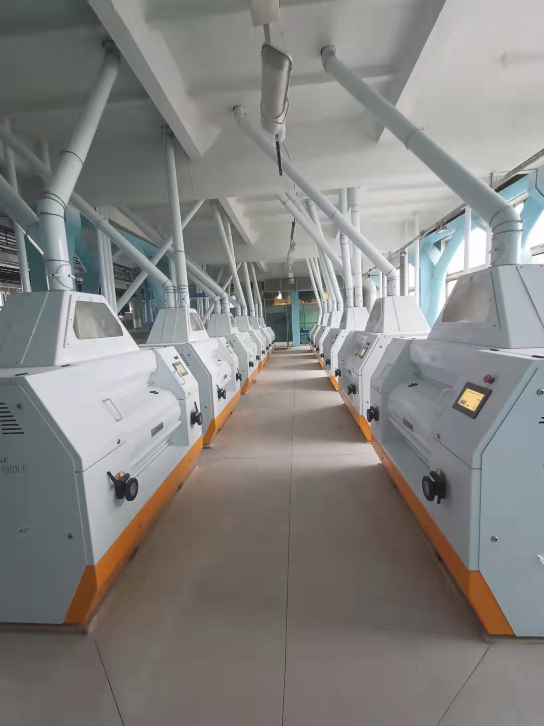 Wheat Grain Mill Plant: A Step-by-Step Guide to Efficient Operation